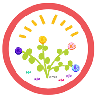 Kids Badge 29 Badge